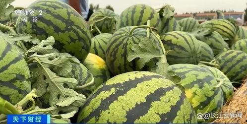 吃瓜的季节到来了 吃瓜,吃瓜群众狂欢季