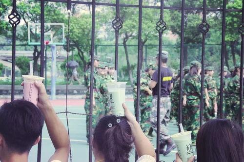 湖边长椅吃瓜,湖边长椅下的悠闲夏日时光