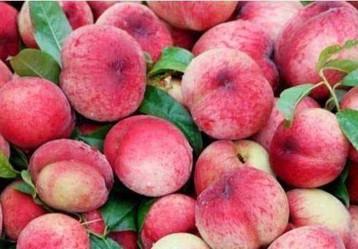 桃桃冰吃瓜,揭秘娱乐圈的甜蜜瓜田