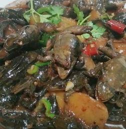 东北吃瓜蛤蟆,吃瓜蛤蟆的独特魅力