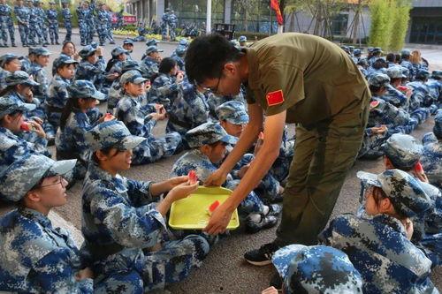 团委吃瓜,揭秘吃瓜背后的真相与内幕”