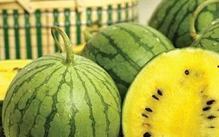 从前吃瓜跟现在吃瓜的区别