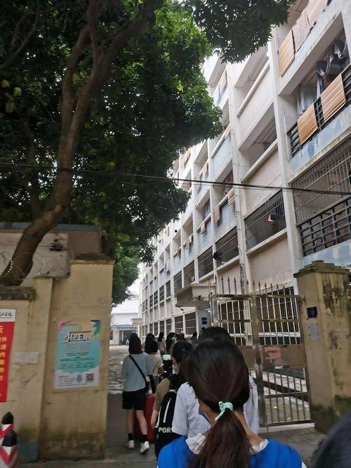 吃瓜国商院,揭秘商业世界的甜蜜与苦涩